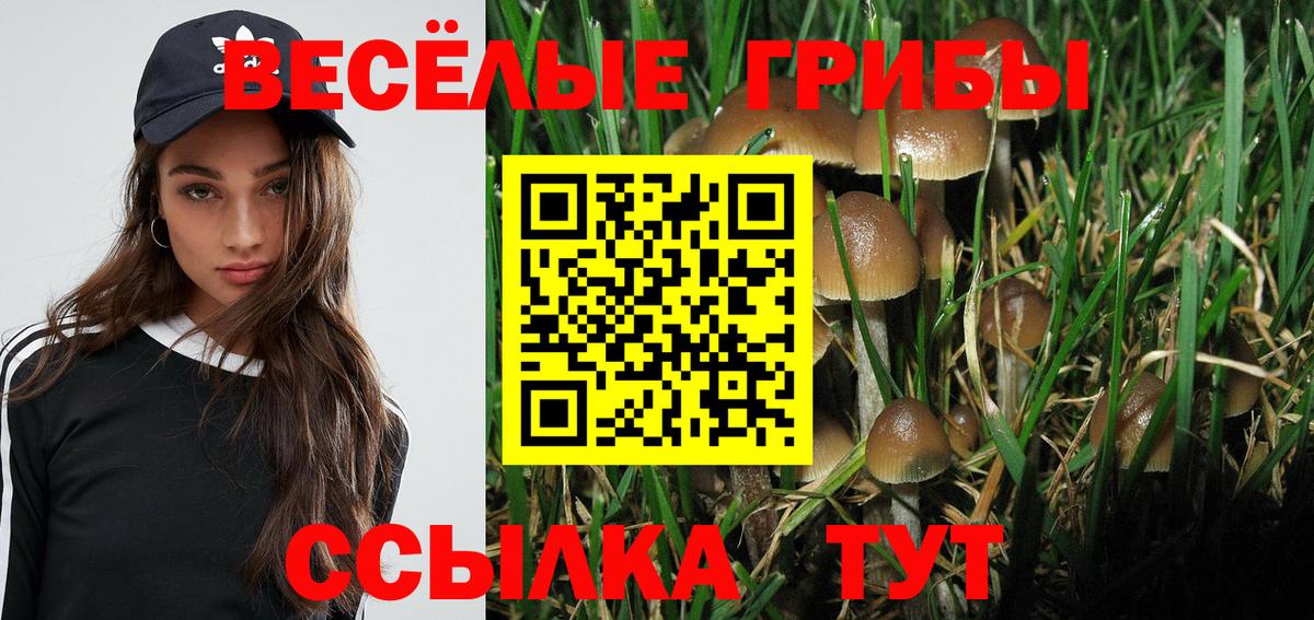 Псилоцибиновые грибы Psilocybine cubensis Ульяновск